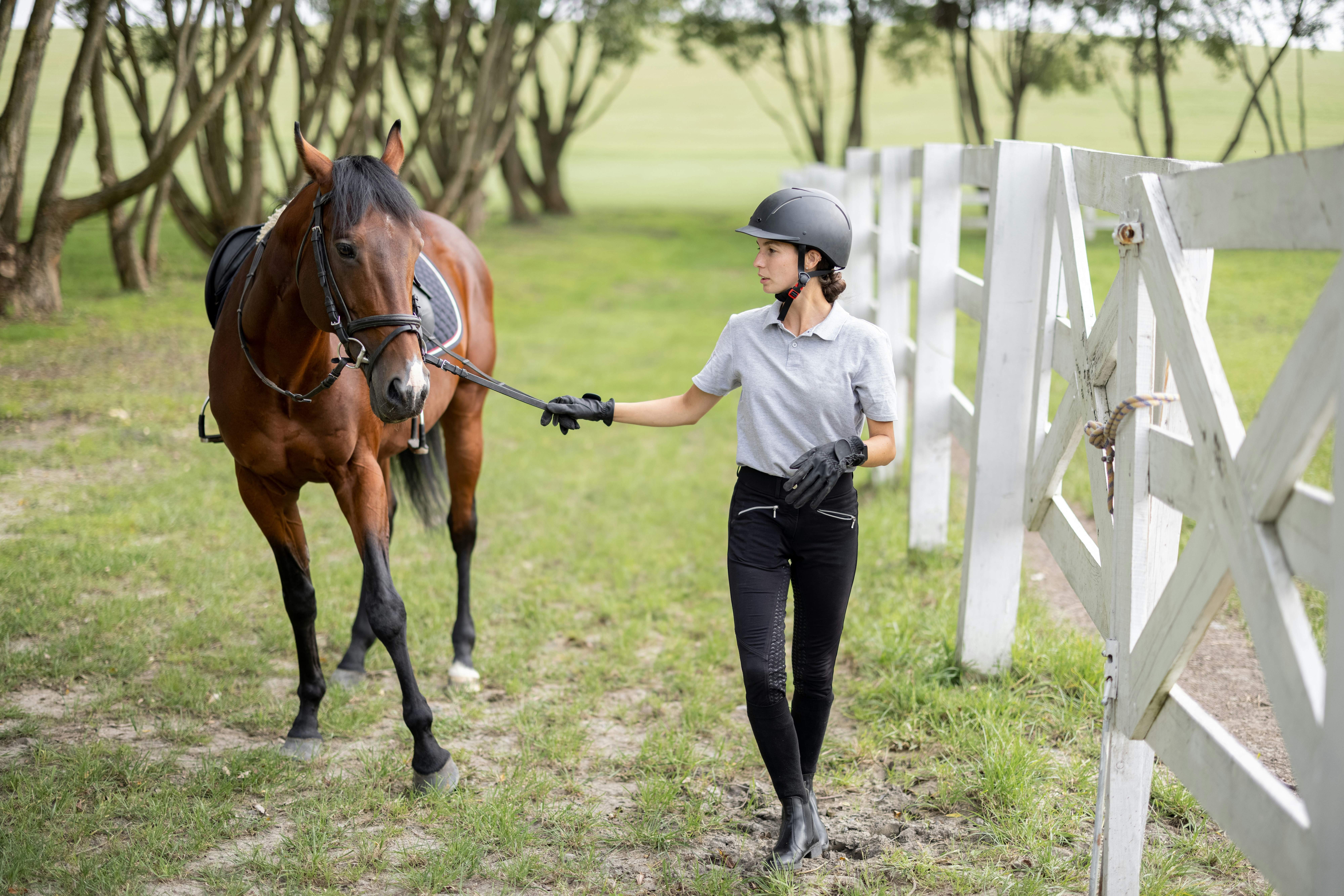 Equestrian rider with horse